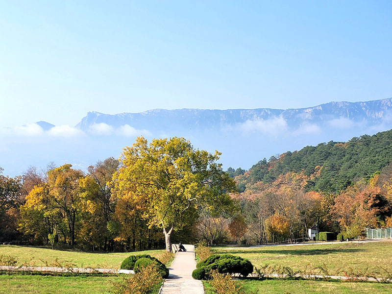 Отдых в Форосе ЮБК